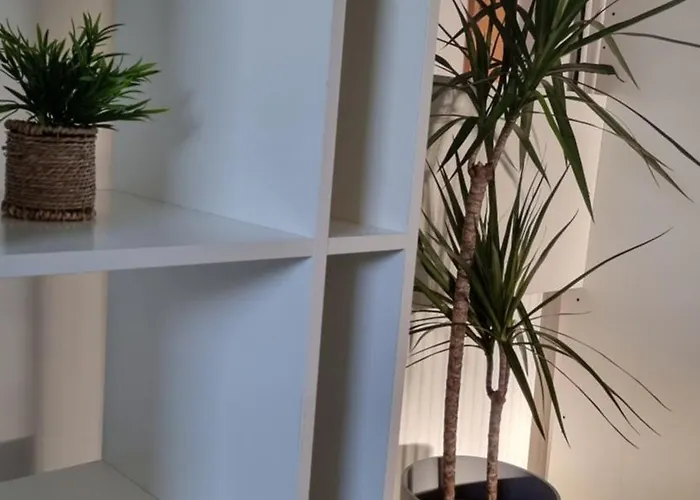 Apartment Pool Place *